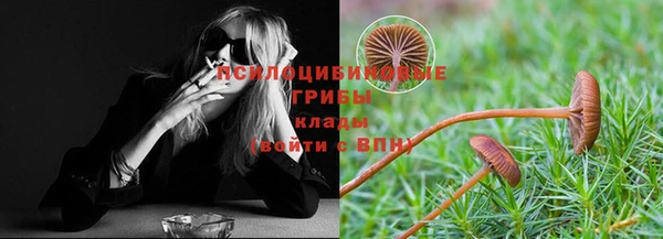 винт Баксан